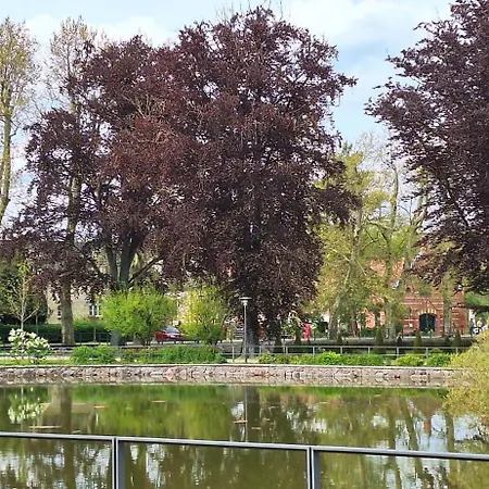 Ferienhausidylle Mit Motorboot Am Nyaraló